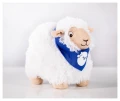 6293b.jpg