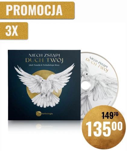 3niech-zstapi.jpg